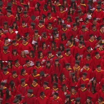 The Alpha Hub Commited to Excellence