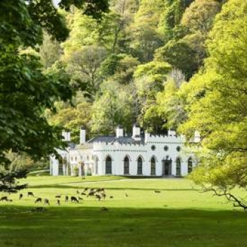 The Fine Estates Hub, Asset Management